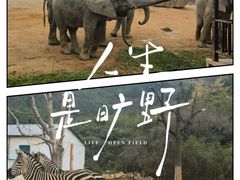 -杭州野生动物世界