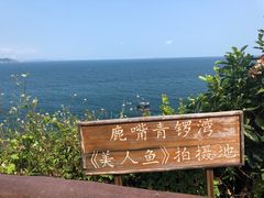 -杨梅坑