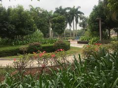 -万绿园