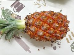 -鲜丰水果(九洲新世界花苑店)