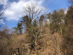 -秦岭风景区