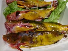 黄辣丁-宽板凳老灶火锅(外馆斜街店)