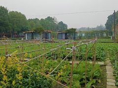 -洪湖家庭农场·团建·露营·会议