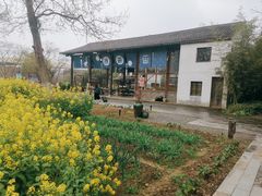 环境-田园东方蜜桃村的田野营地