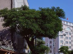 -汕头市小公园
