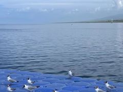-青海湖国家重点风景名胜区