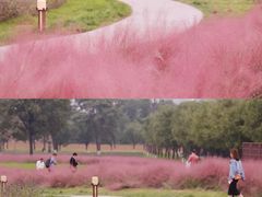 -汉长安城未央宫国家考古遗址公园