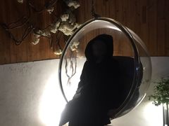 -铂米星座(瑞安店)