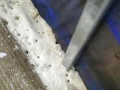 -乔波室内滑雪场
