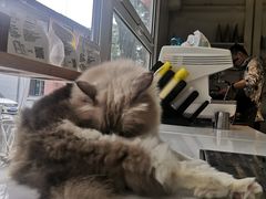 -灯塔咖啡馆BOOK·Coffee Shop