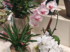 -银泰百货(海宁店)