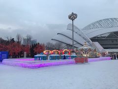 -沈阳奥体冰雪嘉年华