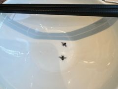 -唐宫小聚(荃湾荃新天地店)