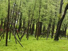 -佛冈森波拉度假区