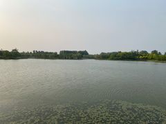 -东郊湿地公园