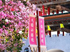 -东莞观音山旅游风景区