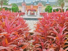 -美的鹭湖森林度假区