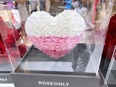 -ROSEONLY诺誓(广州K11店)