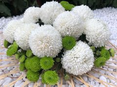 -汇龙潭