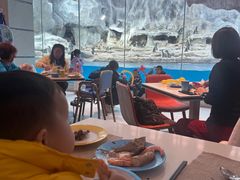 -帝企鹅自助餐厅•儿童岛•真企鹅(长隆企鹅酒店)