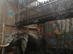 -呀路古热带植物园