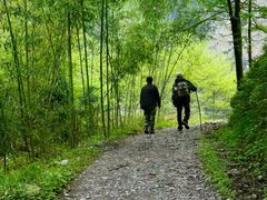 -鹿院坪生态旅游景区