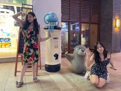 -三亚海昌梦幻海洋不夜城