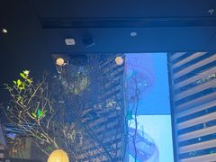 -桂满陇·海市蜃楼·黑金(国金店)