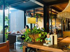 -D STAR COFFEE帝星咖啡