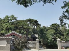 -阳台山自然风景区