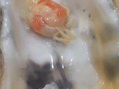 -爱蚝屋