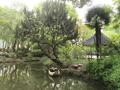 -上海醉白池公园