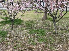-金银湖国家城市湿地公园