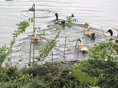 -上海怡沁园度假酒店