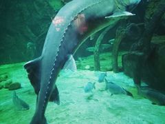 -华夏文旅海洋公园