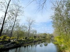 -合肥滨湖国家森林公园