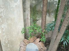 -胶囊画廊