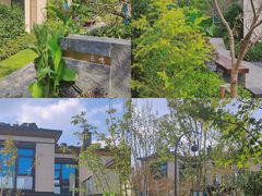 -东钱湖旅游度假区