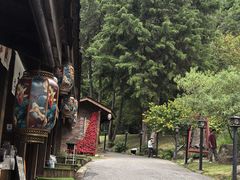 -苍山世界地质公园·石门关大峡谷