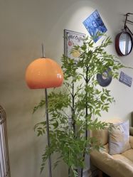 -变美丽半永久纹眉连锁·机器野生眉•洗眉