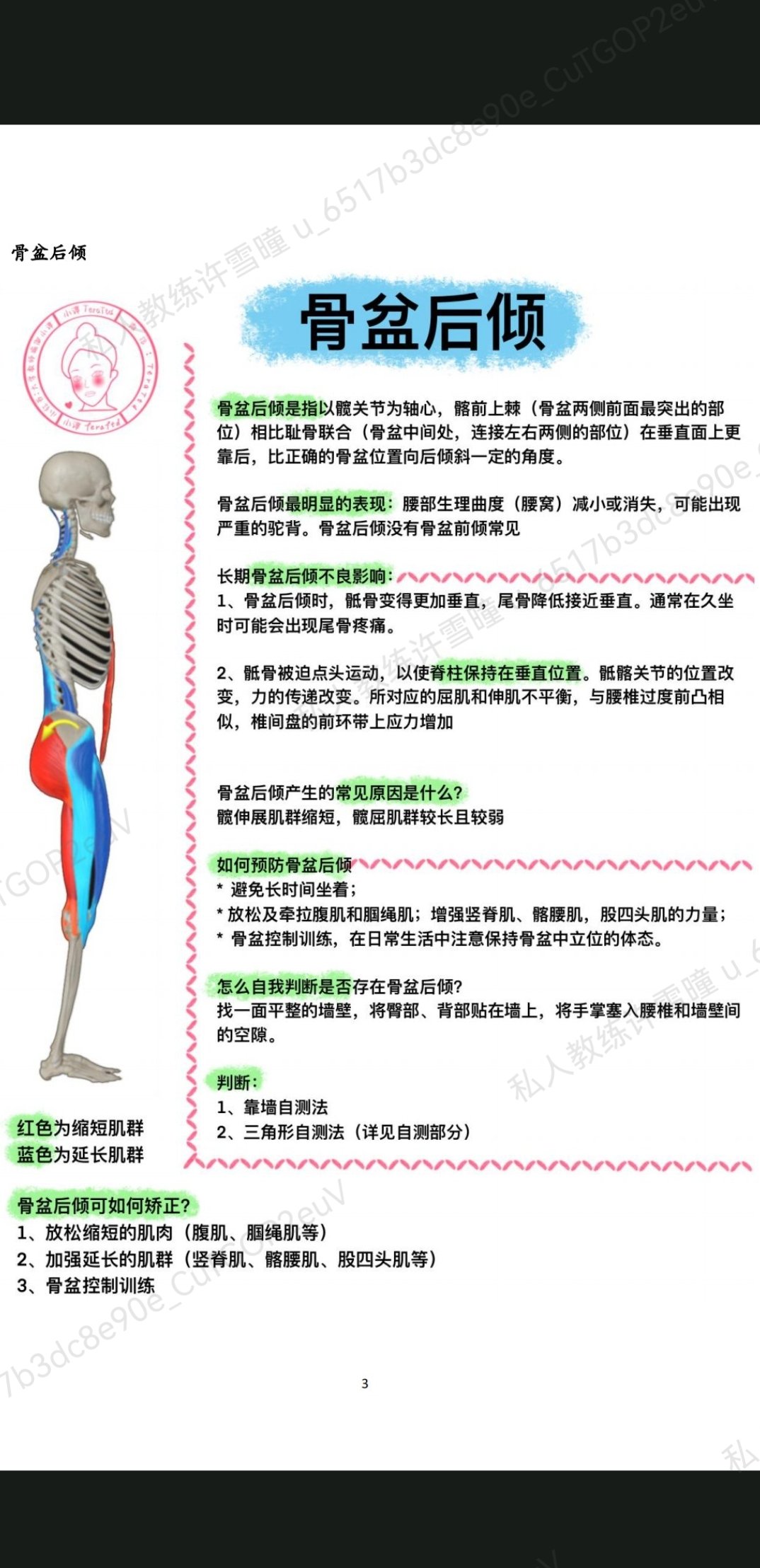 骨盆后倾的危害图片