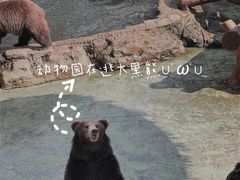 -深圳野生动物园