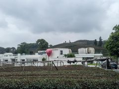-龙坞茶村