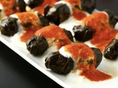-Efes Turkish & Mediterranean Cuisine 艾菲斯餐厅(陆家嘴店)
