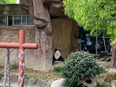 -常州淹城野生动物世界