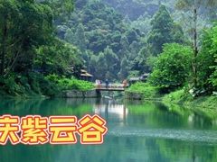 -紫云谷景区