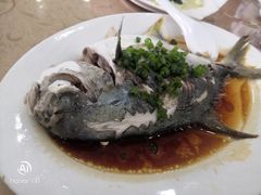 清蒸海鱼-双月饭店·20年老字号(新村店)