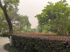 -莲湖公园