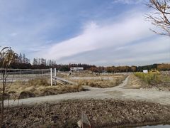 -嘉北郊野公园
