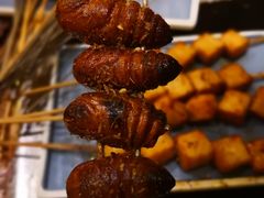 -小俩口烧烤东北菜(双井店)